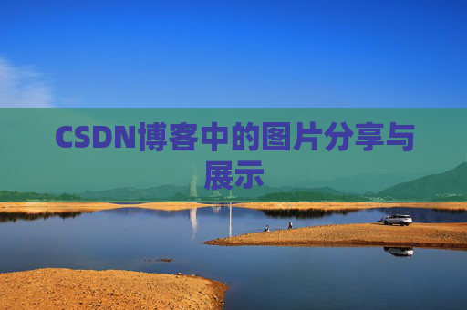 CSDN博客中的图片分享与展示